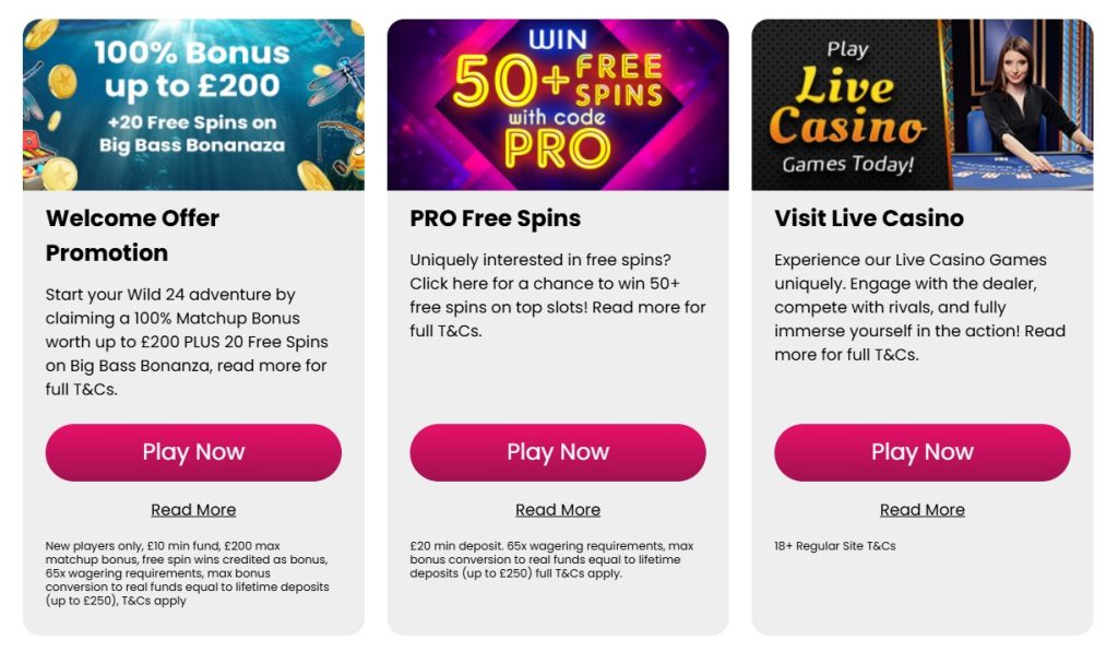 Promotions and bonuses online casino wild 24-1